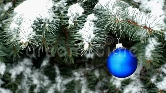 雪天户外蓝色云杉枝上挂着蓝色圣诞球视频的预览图