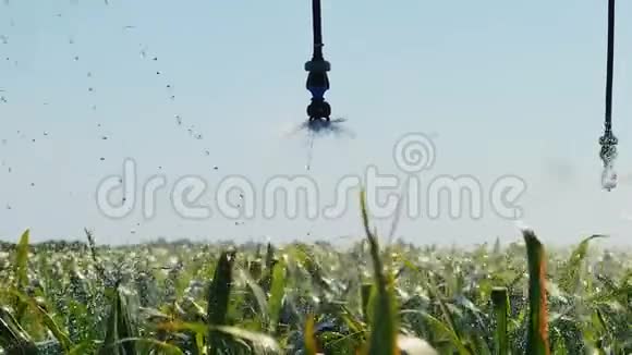 田间自动化灌溉系统水灌溉视频的预览图