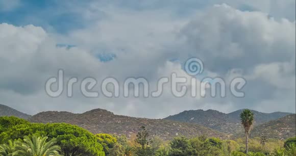 山景和云雾棕榈树时间推移视频的预览图