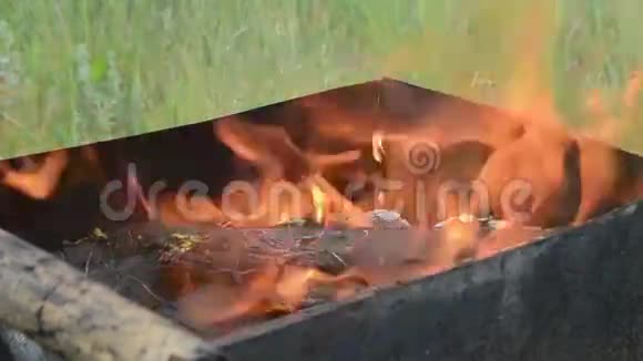 燃烧的火焰视频的预览图
