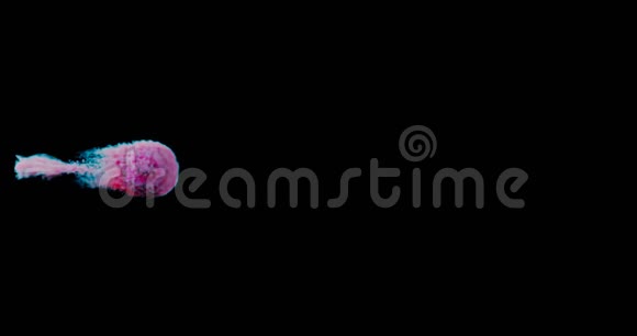 黑色背景下粉色和蓝色抽象烟雾的三维渲染视频的预览图