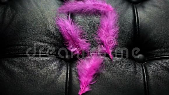 黑色皮革沙发上的粉红色羽毛被吹走了视频的预览图