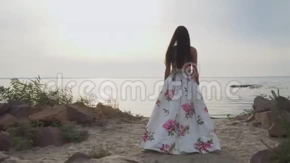 穿着漂亮长裙的可爱女孩在河边散步视频的预览图