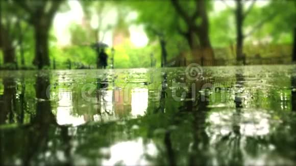 公园的雨天和水坑上的雨滴视频的预览图