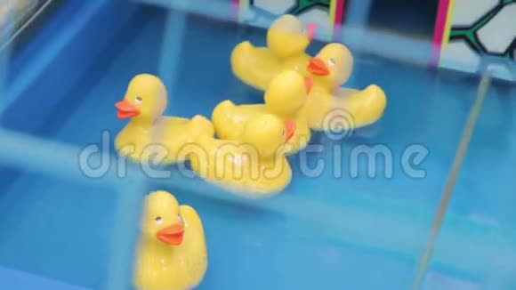 黄色吱吱作响的鸭子在游泳池里视频的预览图