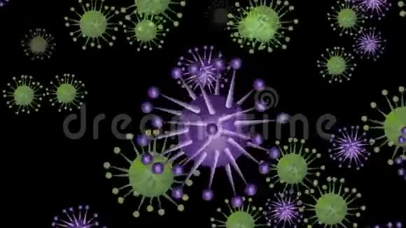 冠状病毒2019nCoV在黑色背景上飞行白色铭文下降紫色和绿色三维冠状病毒视频的预览图