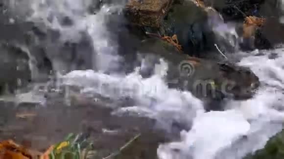 河水中充满活力的清澈的水流拍打着岩石形成气泡鼓泡和潺潺的嚎叫视频的预览图