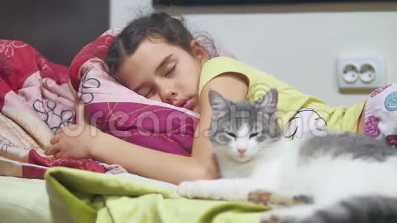 女孩和猫睡在床上猫睡在床上小女孩可爱在室内和宠物猫一起睡觉视频的预览图