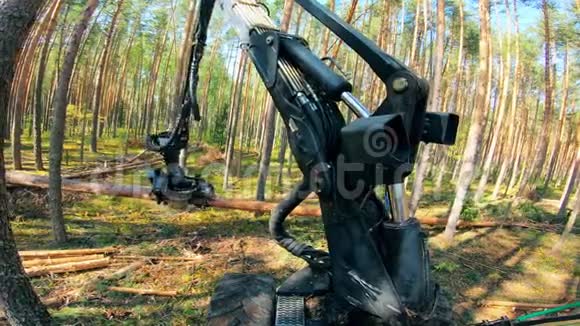 木材收割机是锯掉的木材视频的预览图