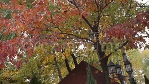 区域内的树木豪华别墅视频的预览图
