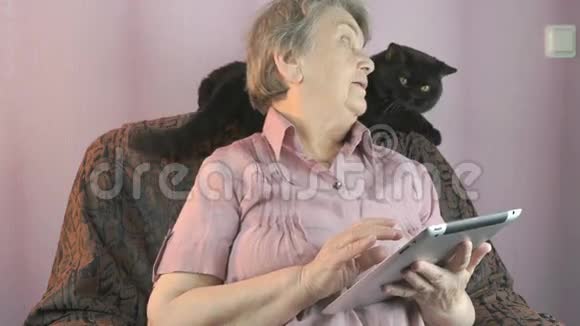 老妇人在室内看着黑猫视频的预览图