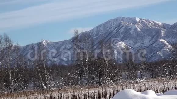 冬天树木的山顶和树木覆盖着寒冷的冰雪视频的预览图