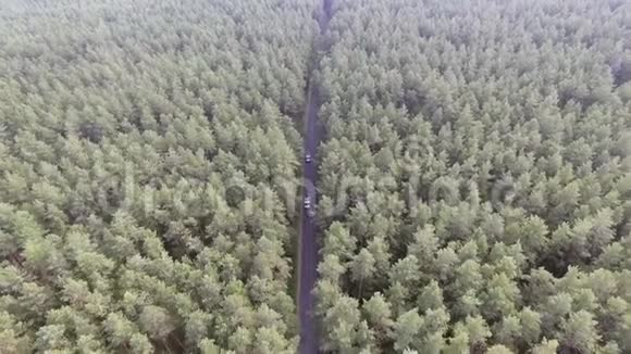 鸟瞰飞越老补丁两车道森林道路与汽车移动绿树密林生长两侧视频的预览图