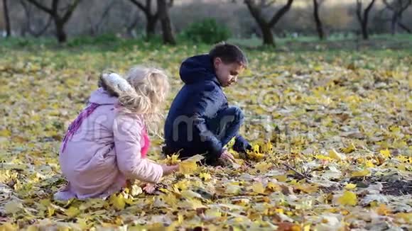小男孩和一个小女孩正在收集黄色的枫叶视频的预览图