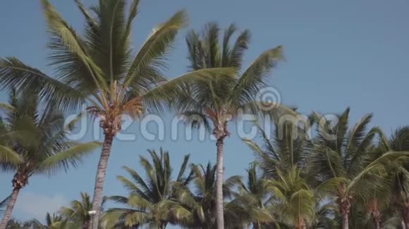 美丽的热带度假胜地景色椰子棕榈和蓝天假日海滩视频的预览图