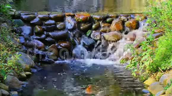 热带花园里的瀑布视频的预览图