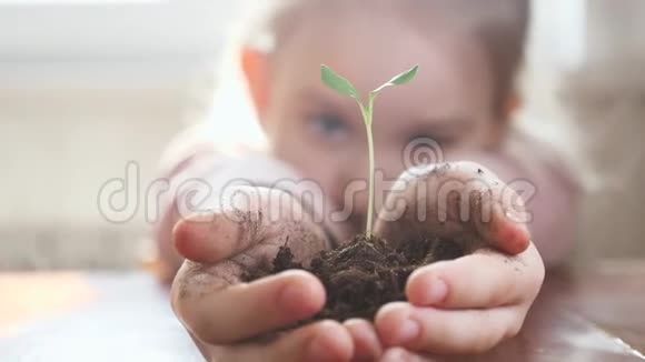 女孩手里拿着年轻的绿色植物生长呵护保护地球生态的理念和标志视频的预览图