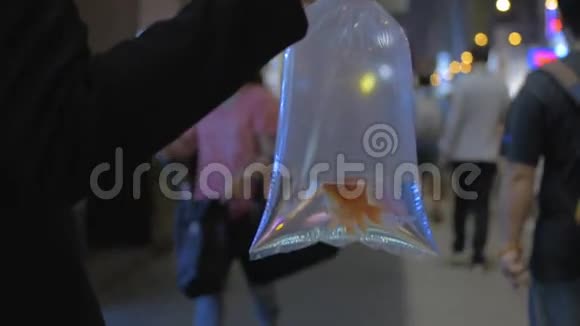 在中国香港一个忙碌的街头女孩手里拿着一个透明的水袋和金鱼视频的预览图