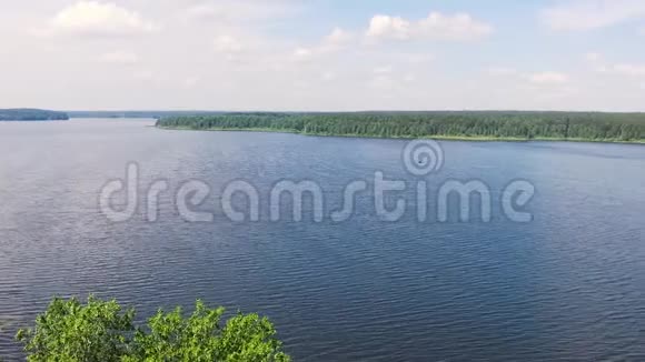 鸟瞰森林湖库存美丽的夏季湖景视频的预览图