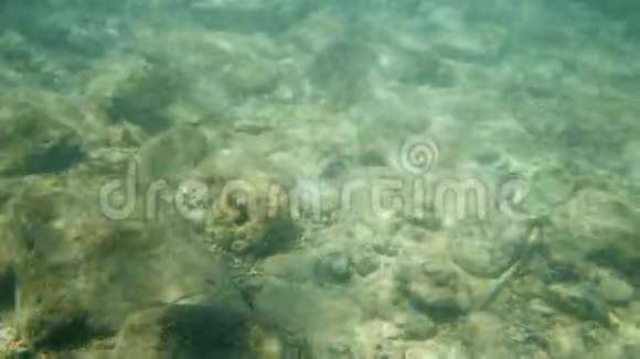 海底的水下岩石视频的预览图