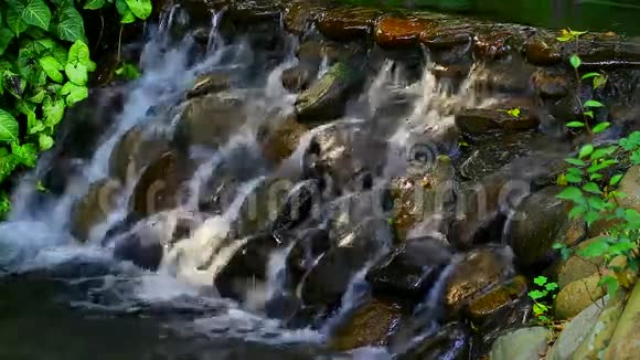 热带花园里的瀑布视频的预览图