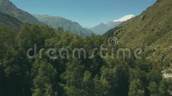 空中射击从飞行无人机山林高山顶景视频的预览图
