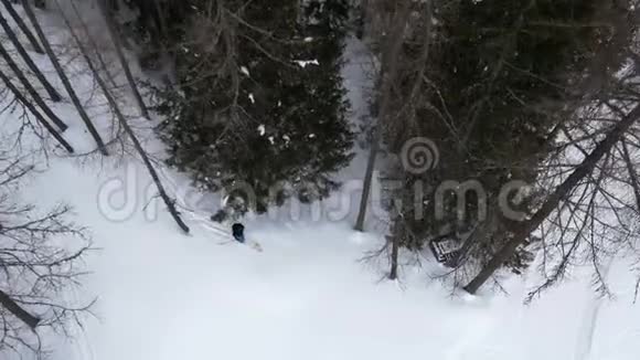 空中无人机飞行为滑雪者在雪地森林中滑雪奠定了基础山地的冬季雪视频的预览图