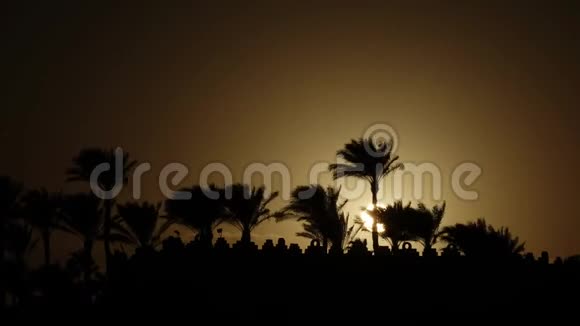 日出在海滩周围的海洋和棕榈树时间流逝视频的预览图