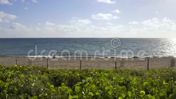 美国迈阿密阳光沙滩景观视频的预览图