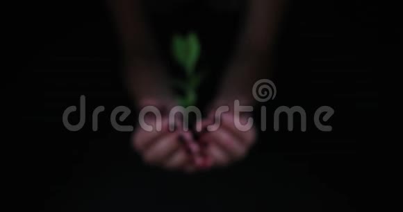 双手握着植物在土壤中的黑色背景视频的预览图