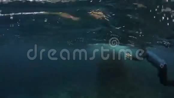 游泳者水下分裂射击视频的预览图
