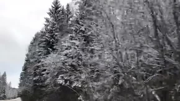 车辆行驶冬季雪林路时从车载摄像头侧视视频的预览图