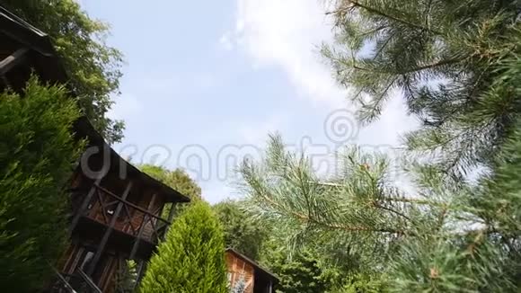 野山树间的木屋视频的预览图
