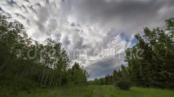 森林中的风暴云时间推移视频的预览图