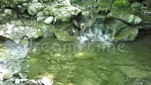 小溪流流过岩石水在干净的溪流中流过岩石视频的预览图