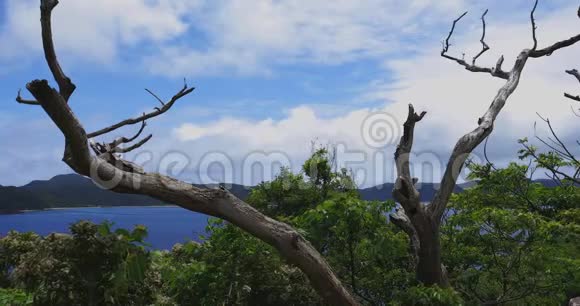 马南崎海角靠近蓝色海洋的大岛大岛广射视频的预览图