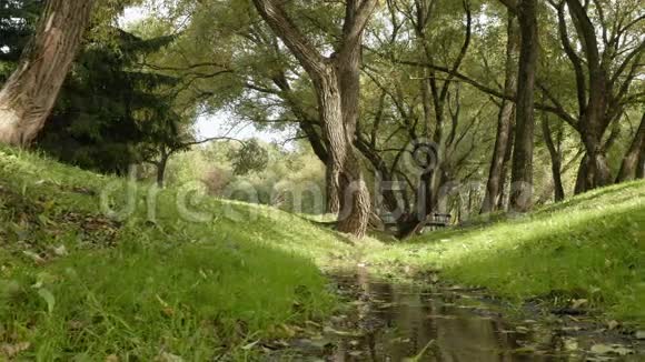 公园里的小溪秋天的白天宽低角平滑的娃娃镜头视频的预览图