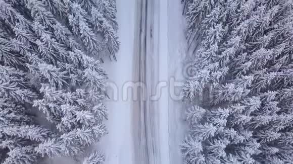 空中飞行穿越冬季森林和公路视频的预览图
