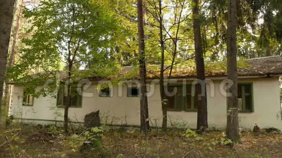 森林中废弃的房屋秋天的白天光滑的娃娃射击视频的预览图