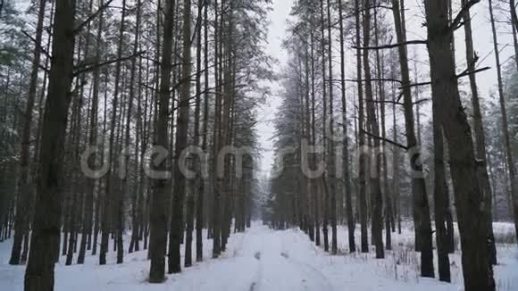 这条路延伸到白雪皑皑的森林中的天空视频的预览图