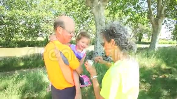 大父母和大女儿一起享受暑假野餐视频的预览图