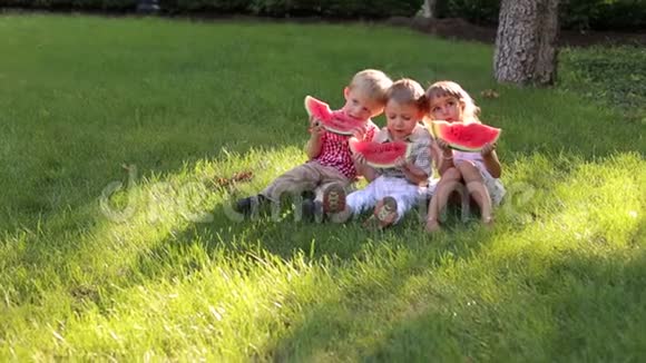 三个孩子在公园的草地上吃西瓜视频的预览图