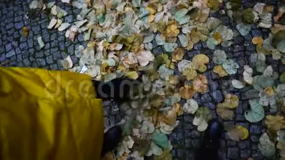 秋天在城市里女人们穿着靴子秋天的下午在露天的树叶上踩着铺路石视频的预览图