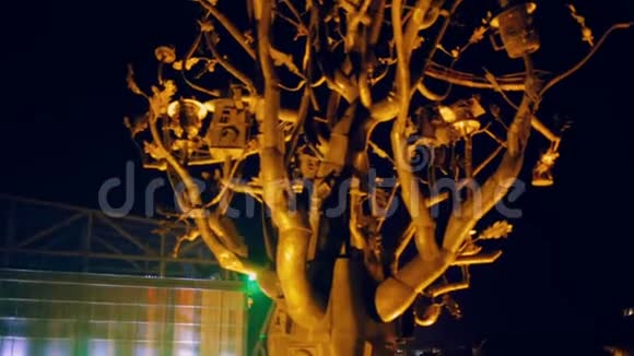 蒂比利西乔治博克夜景灯光明亮的和平桥梁铁木视频的预览图