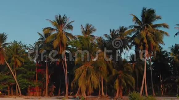 热带天堂坎达拉曼岛日落时棕榈树丛林的4K空中景观视频的预览图