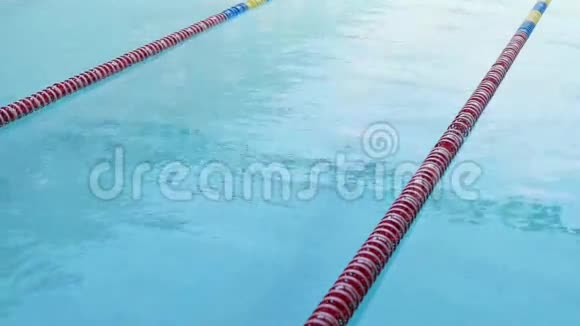 游泳跳水运动员视频的预览图