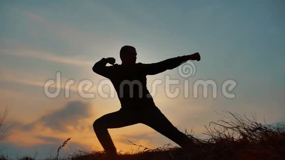 男子战士武术和尚练习剪影空手道功夫在草地的地平线上日落空手道踢腿艺术视频的预览图