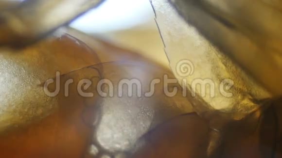淡水蜈蚣腿下显微镜视频的预览图