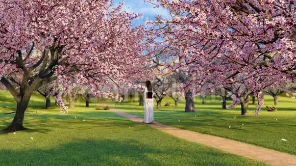穿着慢装3D的樱花树和和和服女孩视频的预览图
