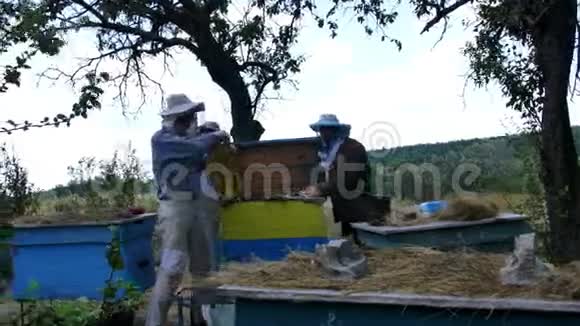 三个养蜂人在从花园里的蜂巢里抽蜜之前先检查一群蜜蜂视频的预览图